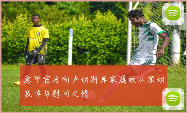意甲官方向卢切斯库家属致以深切哀悼与慰问之情
